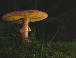 617448g