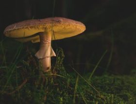 617448g