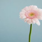 人妻猎人之娇妻堕落的秘密与欲望 qz3rhy