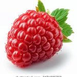 探索ncyy82com:全面解析其功能与优势 8zrj0b