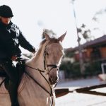 探索白piao联盟官网:共享资源与合作的新平台 nn9a4